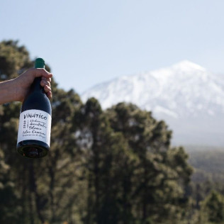 Visita Guiada con Cata de Vinos en Bodegas Viñátigo (La Guancha, Santa Cruz de Tenerife)