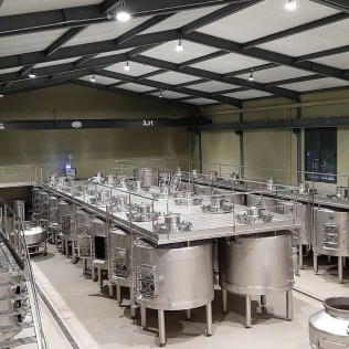 Visita Privada Experiencia a Bodegas Virtus con Cata y Maridaje (Valladolid)