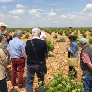 Visita "Degustación de Barricas" con Cata de Vinos y Maridaje para dos (San Román de Hornija, Valladolid)