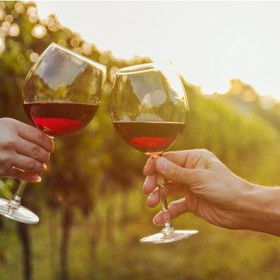 Visita a Bodega Grandes Vinos con Cata y Circuito Spa para dos en Hotel Real Ciudad de Zaragoza 4* (Zaragoza)