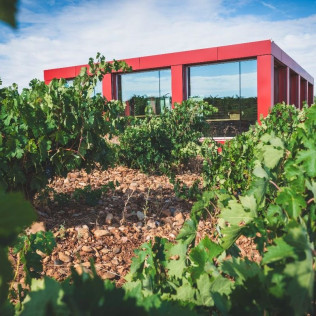 Visita a Bodegas Elías Mora con Cata de Vinos y Degustación para dos (San Román de Hornija, Valladolid)