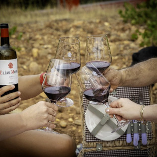 Visita a Bodegas Elías Mora con Cata de Vinos y Degustación para dos (San Román de Hornija, Valladolid)