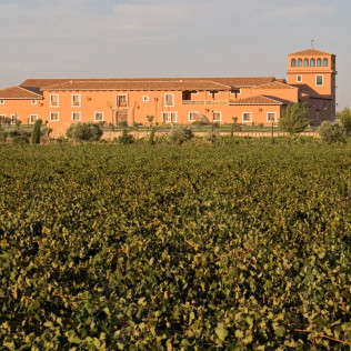 Visita a Bodega, Cata de Vino y Paseo en Coche de Caballos para dos (Albacete)