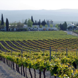 Visita a Bodegas Pérez Barquero con Cata de Vinos y Baños Árabes para dos en Casa Baños de la Villa (Córdoba)
