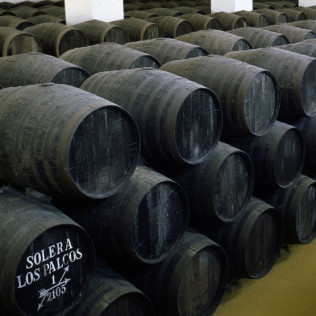 Visita a Bodegas Pérez Barquero con Cata de Vinos y Baños Árabes para dos en Casa Baños de la Villa (Córdoba)