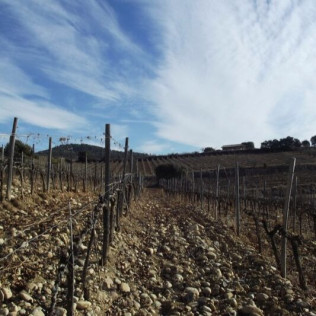 Visita a Bodega Villa d’Orta y Cata de 6 Vinos para dos (Barbastro, Huesca)