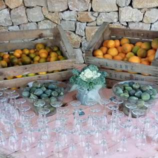 Visita Top Máxima: Visita Guiada a Bodega Mas de Rander y Viñas con Cata de Aceite y Cata de 8 Vinos para dos (Torreblanca, Castellón)