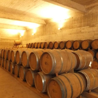 Visita Top Máxima: Visita Guiada a Bodega Mas de Rander y Viñas con Cata de Aceite y Cata de 8 Vinos para dos (Torreblanca, Castellón)