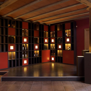 Visita Guiada por Bodega Artística, con Cata de Vinos y Aceite para dos (Lleida)