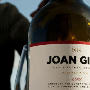 Wine & Tapas: Cata de Vinos con Tapas para dos en Bodega Buil & Giné (Tarragona)