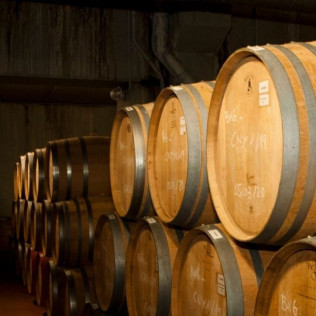 Cata de Vino para dos en BUIL & GINÉ (Tarragona)