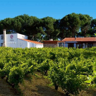 Visita a Bodega La Viña del Abuelo, Degustación de un Vino y una Tapa para dos (Toro, Zamora)