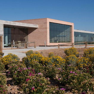 Visita a Bodega y Cata de Vinos para dos en Finca Montepedroso (Valladolid)