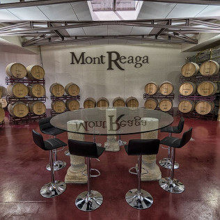 Visita a Bodega Mont Reaga con Cata de Vinos y Aperitivo para dos (Monreal del Llano, Cuenca)