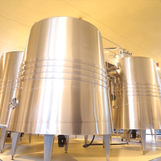 Visita a Bodega Mont Reaga con Cata de Vinos y Aperitivo para dos (Monreal del Llano, Cuenca)