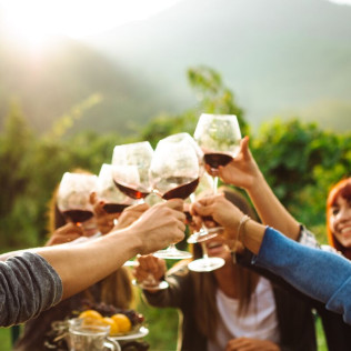 Visita a Bodega y Cata de Vinos en Bodega Emina Ribera (Valladolid)