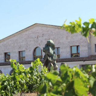 Visita a Bodega y Cata de Vinos en Bodega Emina Ribera (Valladolid)
