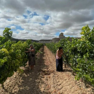 Visita a Bodega y Cata de Vinos en Bodega Emina Ribera (Valladolid)
