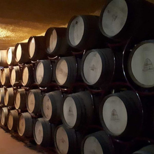 Visita a Bodega Pago de Almaraes con Degustación de Vinos y Embutidos de la zona para dos (Benalúa, Granada)