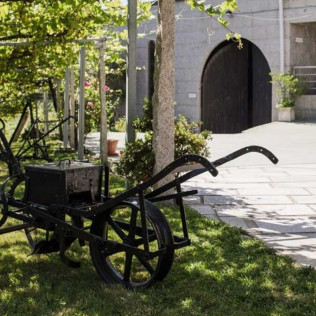 Visita a Bodega Lagar de Besada y Degustación de Vinos para dos (Pontevedra)