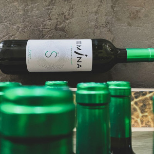 Visita a Bodega Emina Rueda y Cata de 3 Vinos (Medina del Campo, Valladolid)