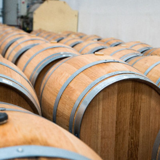 Visita a Bodega Emina Rueda y Cata de 3 Vinos (Medina del Campo, Valladolid)