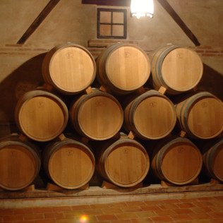 Visita a Bodega, Museo del Vino y Cata de Vino para dos en Bodegas Pablo Morate (Madrid)
