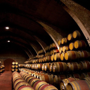 Visita Raimat: Visita Guiada y Cata de Vinos para dos en Bodegas Raimat (Lleida)
