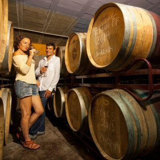 Visita a Bodega, Cata de Vinos, Aperitivo y Comida para dos en Cellers Baronia del Montsant (Cornudella de Montsant, Tarragona)