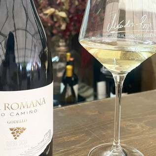 Visita a Bodega Via Romana y Viñedos con Cata de 3 Vinos para dos (Lugo)