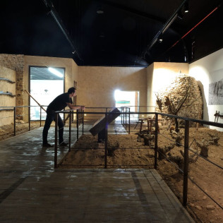 Visita al Museo del Vino con Cata y Tapas para dos en Hacienda del Carche / Casa de la Ermita (Jumilla, Murcia)