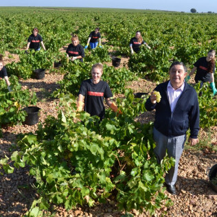 Visita a Bodegas La Soterraña con Cata de Vinos y Aperitivo para dos (Olmedo, Valladolid)