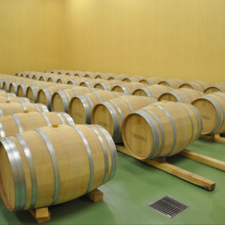 Visita a Bodegas La Soterraña con Cata de Vinos y Aperitivo para dos (Olmedo, Valladolid)