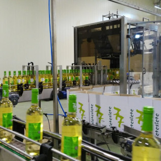 Visita a Bodegas La Soterraña con Cata de Vinos y Aperitivo para dos (Olmedo, Valladolid)