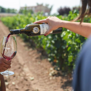 El Vino Te Habla: Visita a Bodega, Aperitivo y Cata de Vino en Bodegas Emilio Moro (Valladolid)
