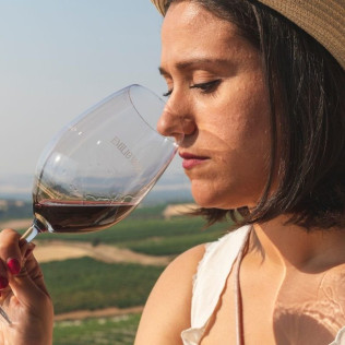 El Vino Te Habla: Visita a Bodega, Aperitivo y Cata de Vino en Bodegas Emilio Moro (Valladolid)