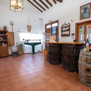 Visita a Bodegas Jesús Díaz e Hijos con Cata de 3 Vinos para dos (Colmenar de Oreja, Madrid)