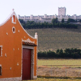 Visita a Bodegas Marcos y Cata de Vinos con Aperitivos amenizada con Magia para dos (Peñafiel, Valladolid)
