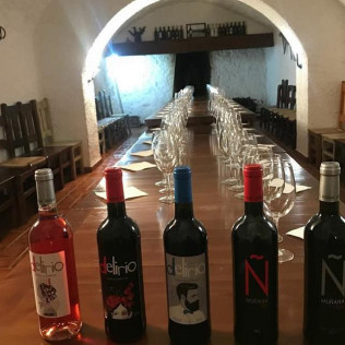 Visita a las Bodegas Muñana y Degustación de vino para dos (Granada)
