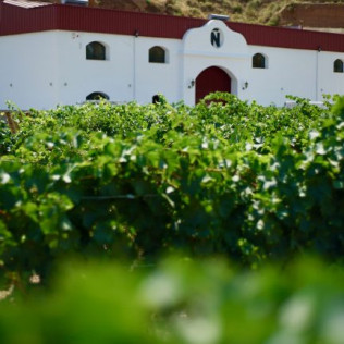 Visita a Bodegas Muñana con Degustación de Vinos y Circuito Spa para dos en Hotel Palacio de Oñate 4* (Granada)