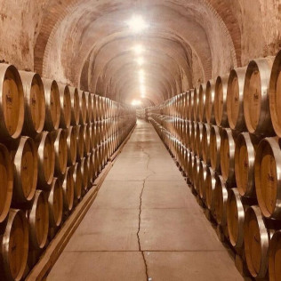 Visita a Bodegas Protos con Cata de 3 Vinos y aperitivo para dos (Peñafiel, Valladolid)