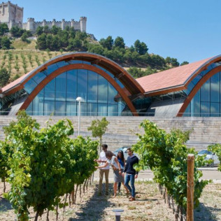 Visita a Bodegas Protos con Cata de 3 Vinos y aperitivo para dos (Peñafiel, Valladolid)