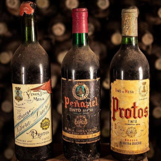 Visita a Bodegas Protos con Cata de 3 Vinos y aperitivo para dos (Peñafiel, Valladolid)