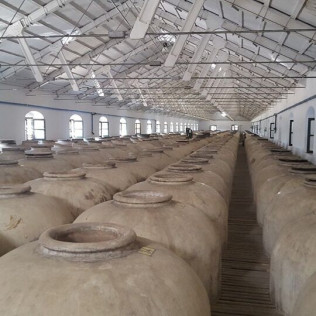 Visita Bodegas Pérez Barquero y Degustación de Cuatro Vinos para dos (Montilla, Córdoba)