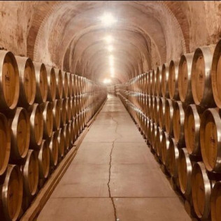 Visita a Bodegas Protos y Menú a Escoger en Restaurante Agora (Peñafiel, Valladolid)
