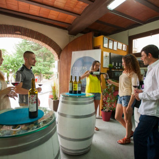 Visita a Bodegas en Cellers Baronia del Montsant y Escapada con Circuito Spa en Camping Prades (Tarragona)