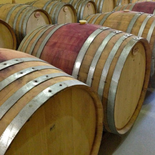 Visita a Museo y Caves Castellroig con Cata y Aperitivo para dos (Barcelona)