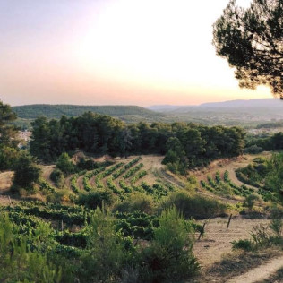 Visita a Museo y Caves Castellroig con Cata y Aperitivo para dos (Barcelona)