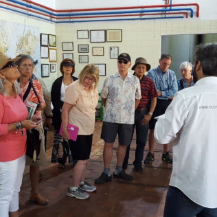 Visita a Oleícola San Francisco con Degustación de Aceites de Oliva Virgen Extra “Esencial Olive” para dos (Jaén)