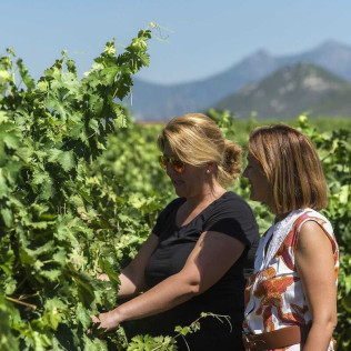 Visita a Bodega Ruiz Torres, Cata de 3 vinos y Obsequio para dos (Cáceres)